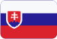 Miroslav Karas - AFC Slovensky